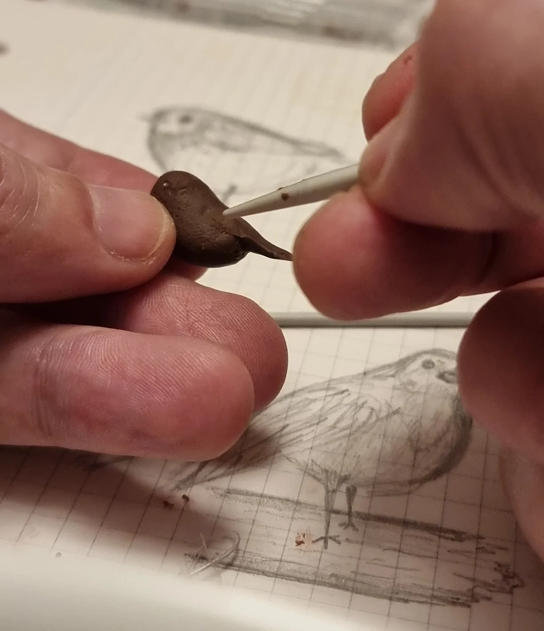 Household tools used in model making