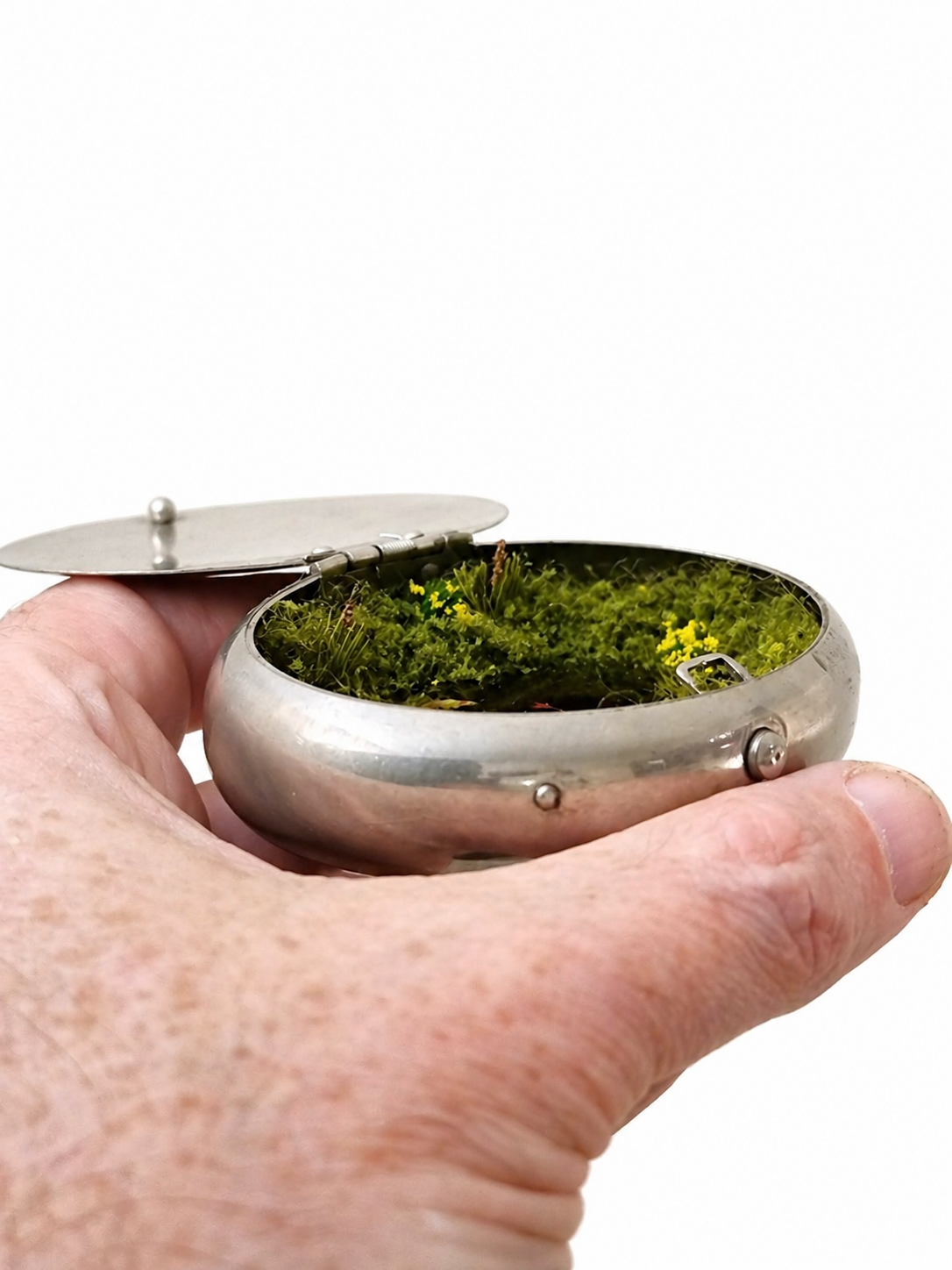 Koi carp pond miniature diorama in tin — second view